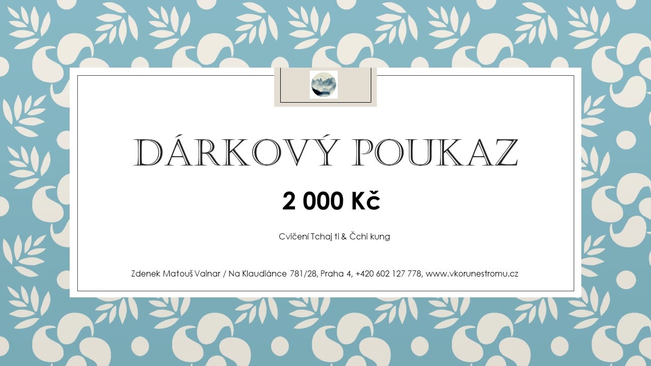 Dárkový poukaz Tchaj ti a Čchi kung 2000