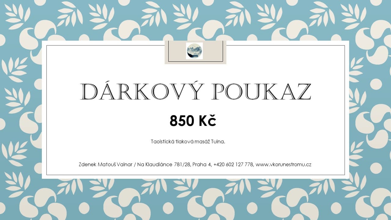 Dárkový poukaz Tuina 850