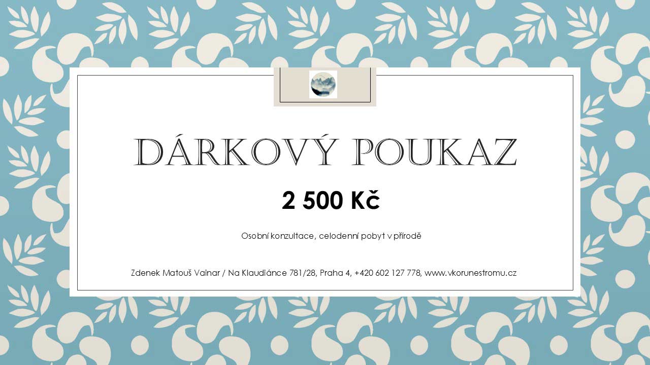 Dárkový poukaz Osobní konzultace 2500